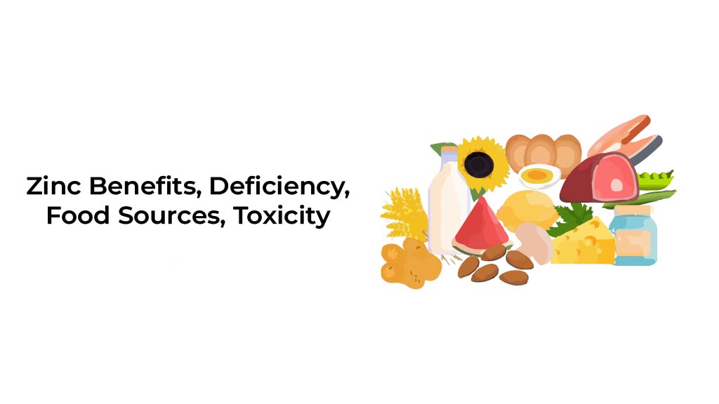 Zinc-Benefits-Deficiency-Food-Sources-Toxicity-01