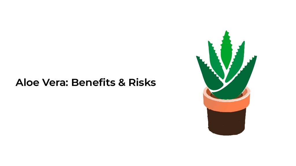 Aloe-Vera-Benefits-and-Risks